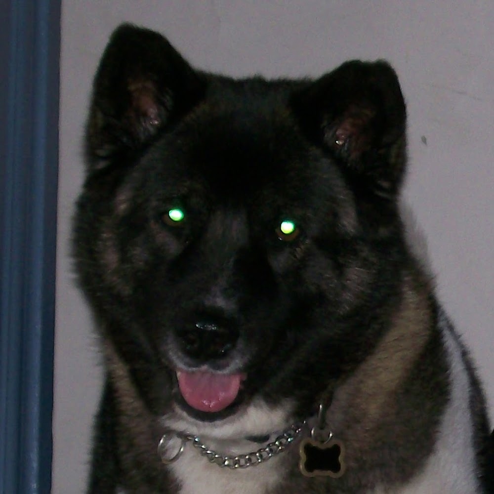 Meet your Posher, Lynette